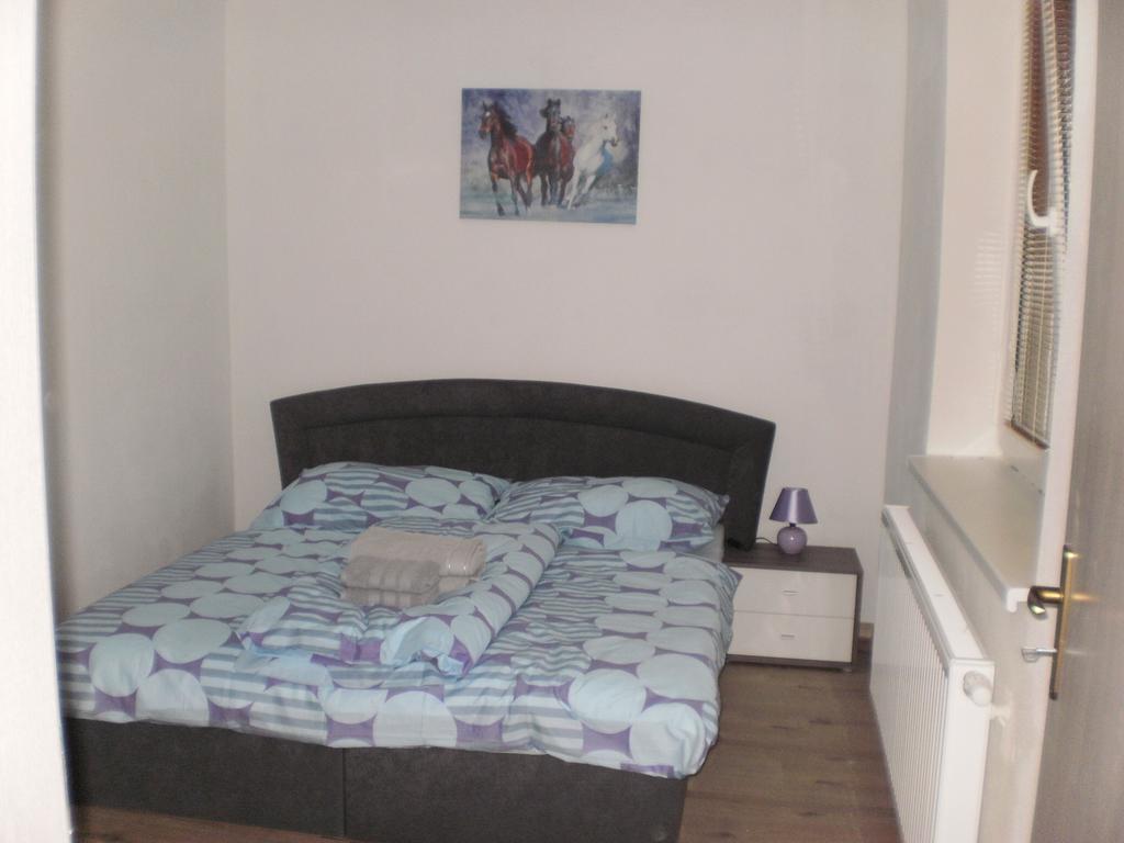 Apartmany Eva Фримбурк Екстериор снимка